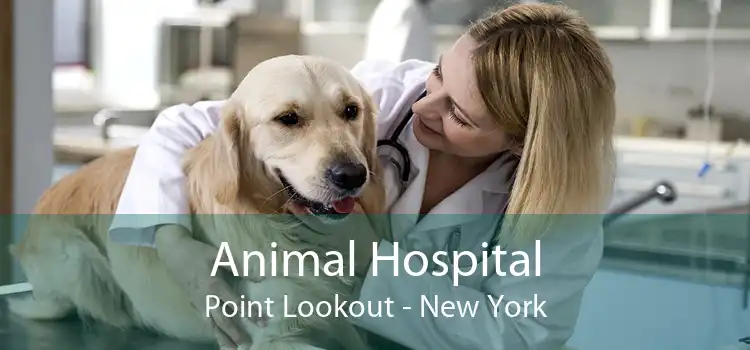 Animal Hospital Point Lookout - New York