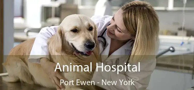 Animal Hospital Port Ewen - New York