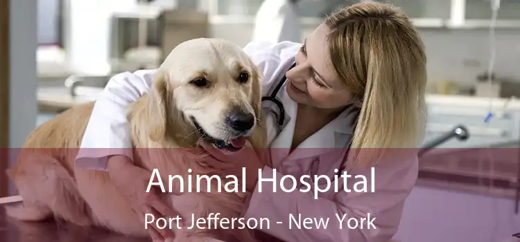 Animal Hospital Port Jefferson - New York