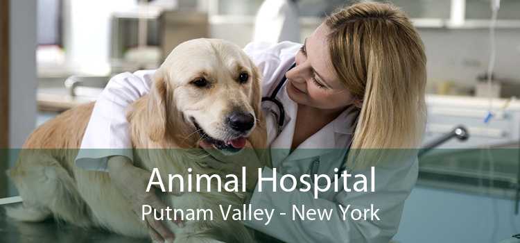 Animal Hospital Putnam Valley - New York