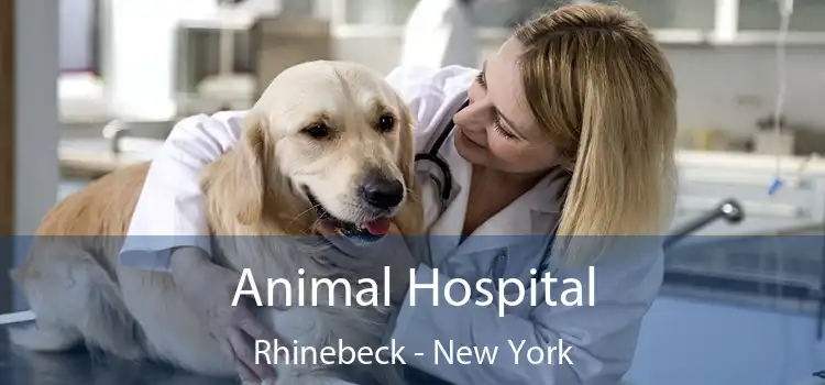 Animal Hospital Rhinebeck - New York