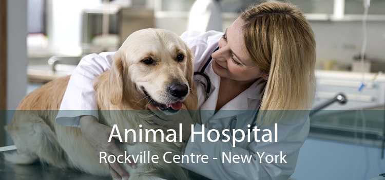 Animal Hospital Rockville Centre - New York