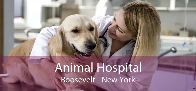 Animal Hospital Roosevelt - New York