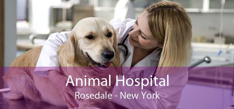 Animal Hospital Rosedale - New York