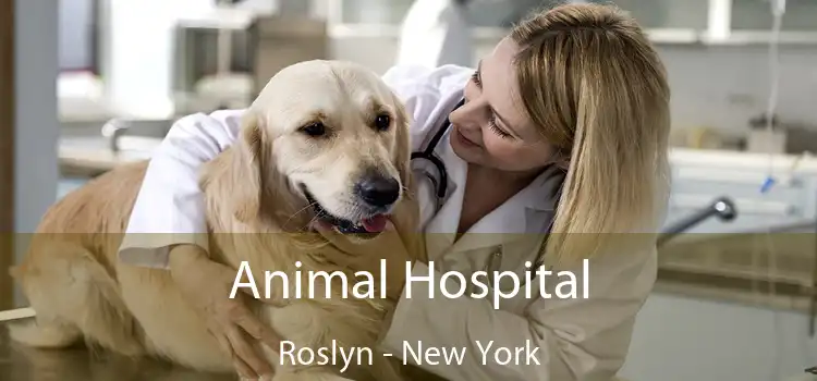 Animal Hospital Roslyn - New York