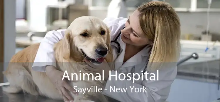 Animal Hospital Sayville - New York