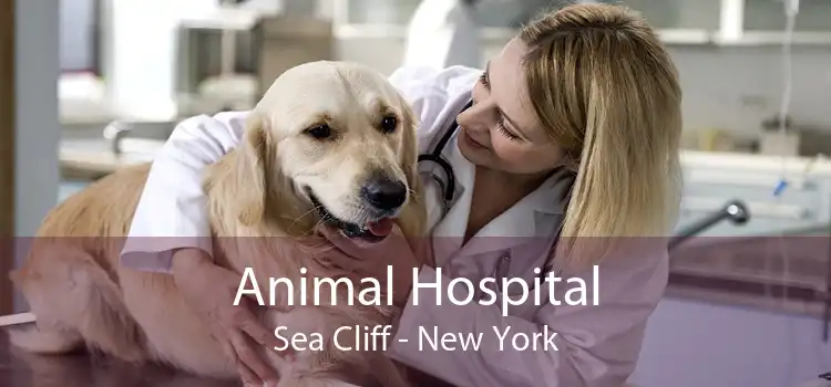 Animal Hospital Sea Cliff - Small, Affordable, And Emergency Animal Hospital
