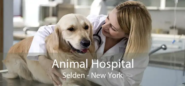 Animal Hospital Selden - New York