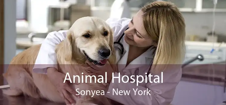 Animal Hospital Sonyea - New York