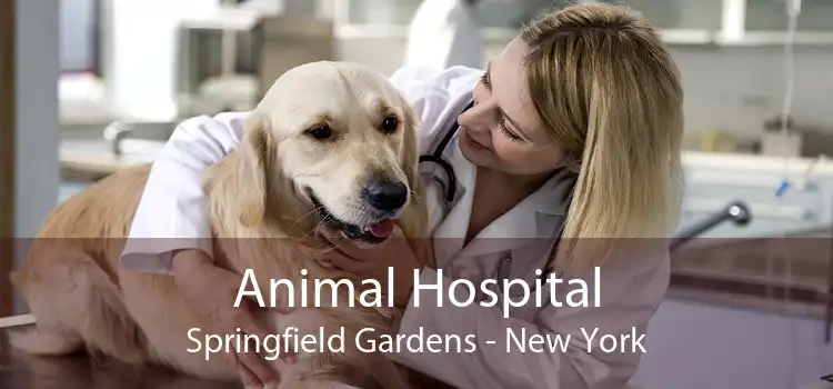Animal Hospital Springfield Gardens - New York