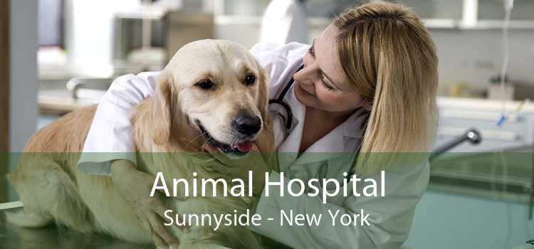 Animal Hospital Sunnyside - New York