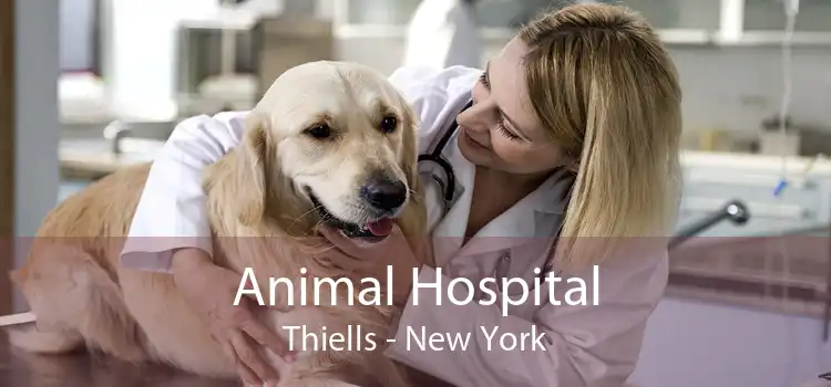 Animal Hospital Thiells - New York