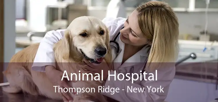 Animal Hospital Thompson Ridge - New York