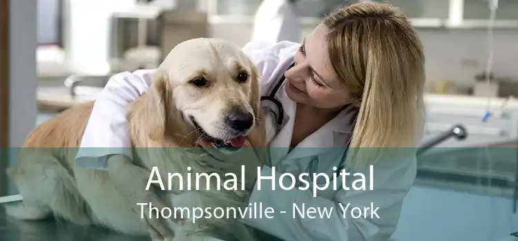 Animal Hospital Thompsonville - New York