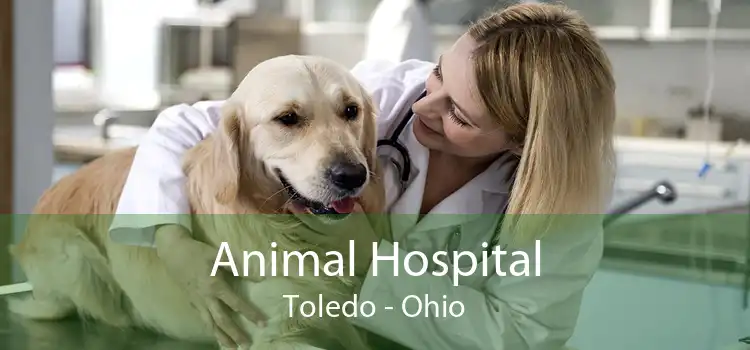 Animal Hospital Toledo - Ohio