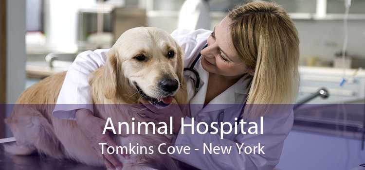 Animal Hospital Tomkins Cove - New York