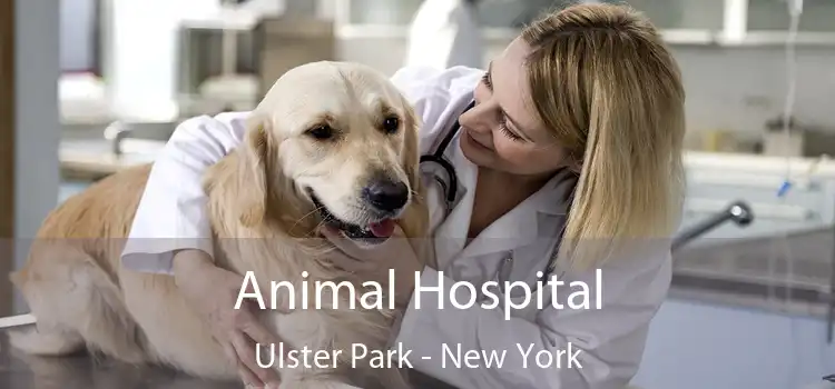 Animal Hospital Ulster Park - New York