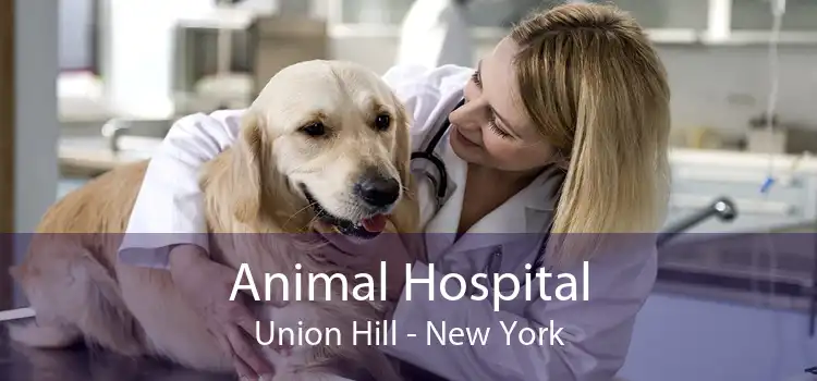 Animal Hospital Union Hill - New York