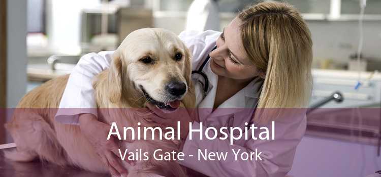 Animal Hospital Vails Gate - New York