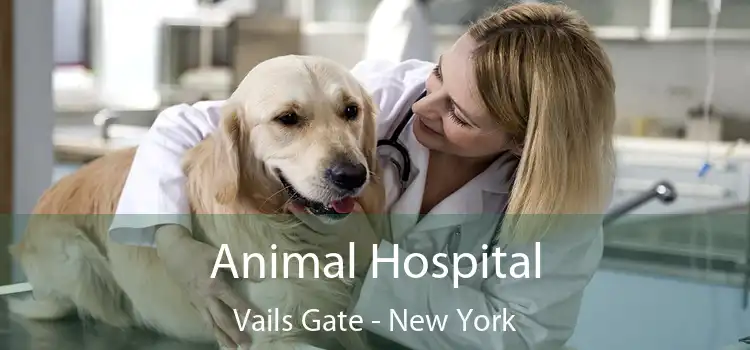 Animal Hospital Vails Gate - New York