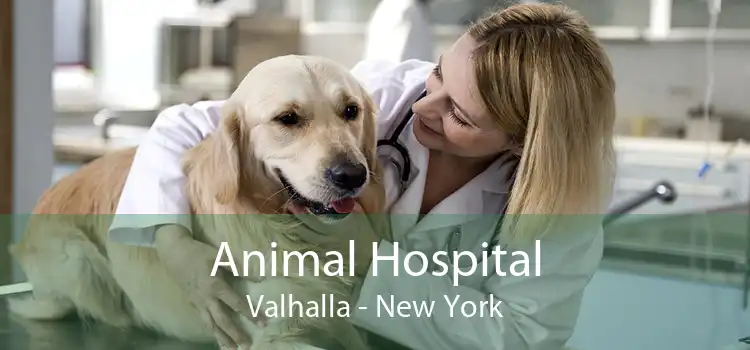Animal Hospital Valhalla - New York