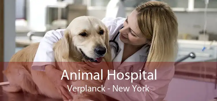 Animal Hospital Verplanck - New York