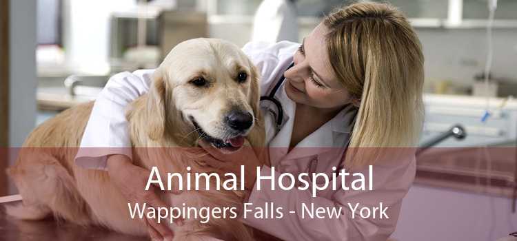Animal Hospital Wappingers Falls - New York