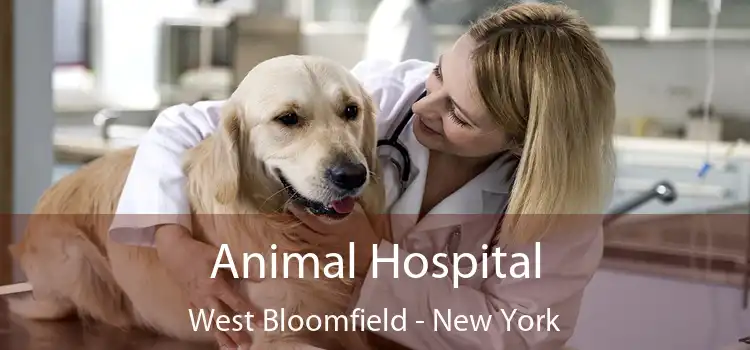 Animal Hospital West Bloomfield - New York