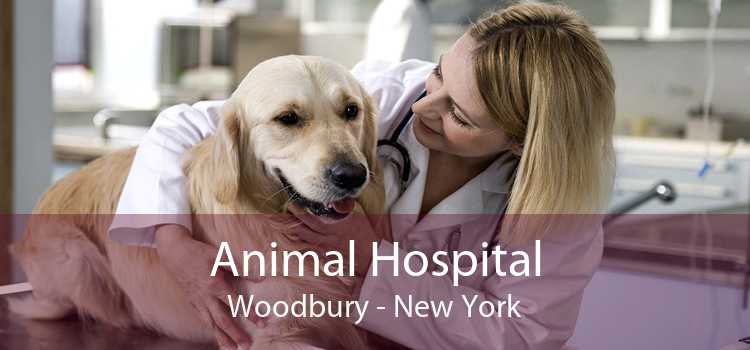 Animal Hospital Woodbury - New York