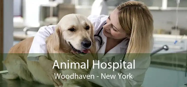 Animal Hospital Woodhaven - New York