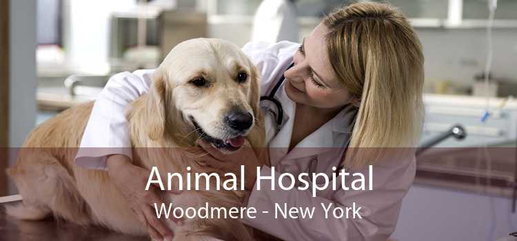 Animal Hospital Woodmere - New York