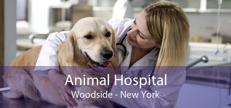 Animal Hospital Woodside - New York