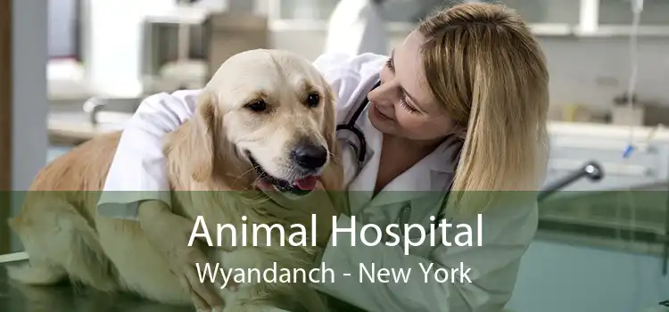 Animal Hospital Wyandanch - New York