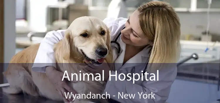 Animal Hospital Wyandanch - New York