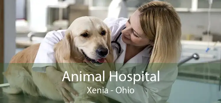 Animal Hospital Xenia - Ohio