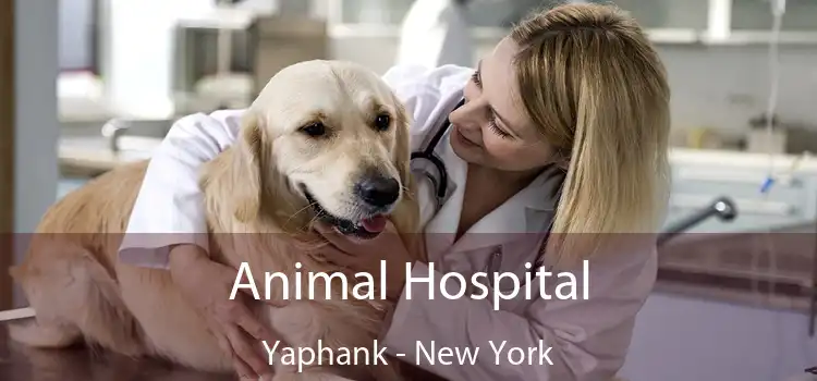 Animal Hospital Yaphank - New York