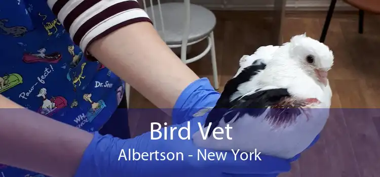 Bird Vet Albertson - New York