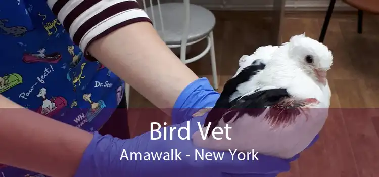 Bird Vet Amawalk - New York