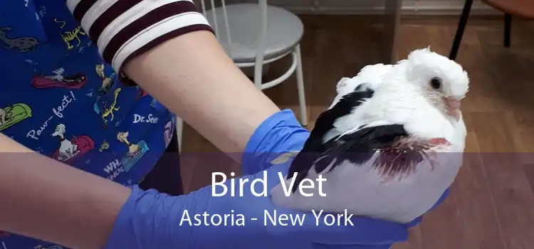 Bird Vet Astoria - New York