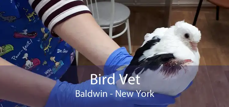 Bird Vet Baldwin - New York