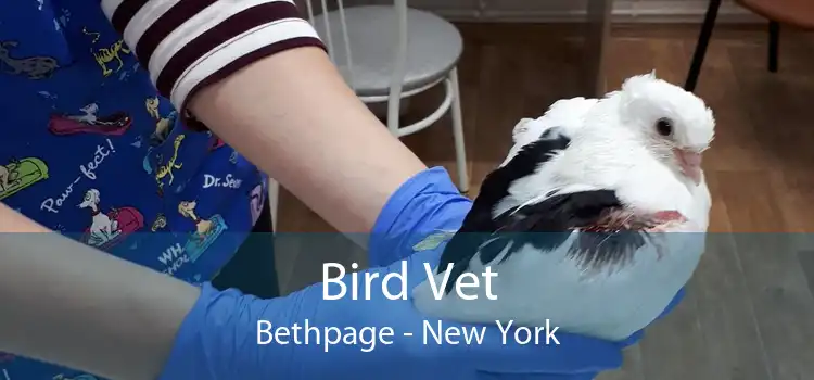 Bird Vet Bethpage - New York