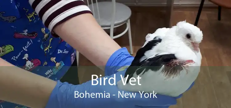 Bird Vet Bohemia - New York