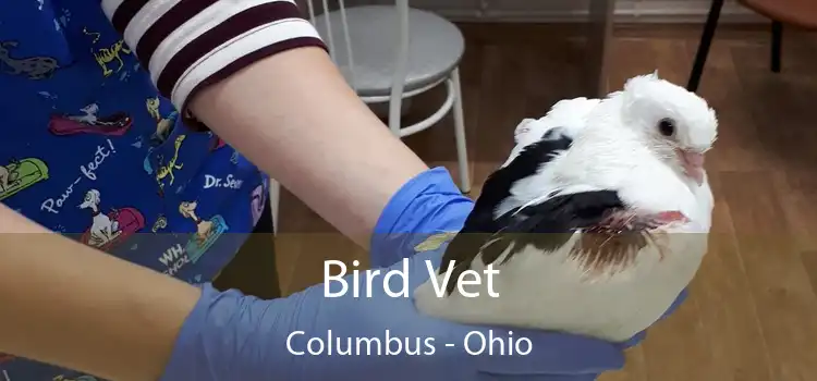 Bird Vet Columbus - Ohio