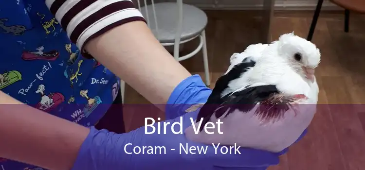 Bird Vet Coram - New York