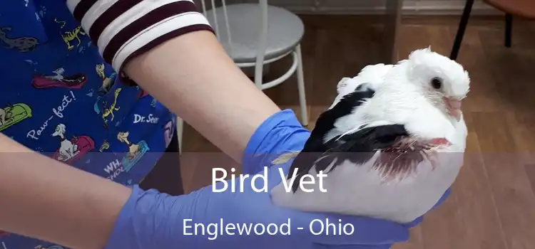 Bird Vet Englewood - Ohio