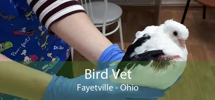 Bird Vet Fayetville - Ohio