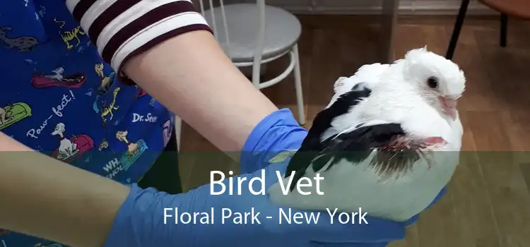 Bird Vet Floral Park - New York