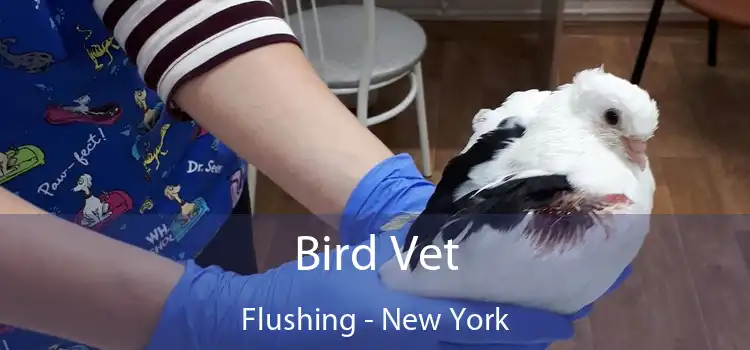 Bird Vet Flushing - New York