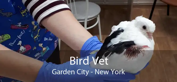 Bird Vet Garden City - New York