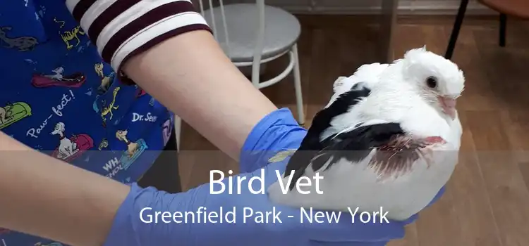 Bird Vet Greenfield Park - New York